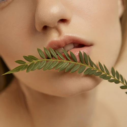 Aesthetic & Cosmetic ürünleri ve fiyatları - cc.datakale.com.tr