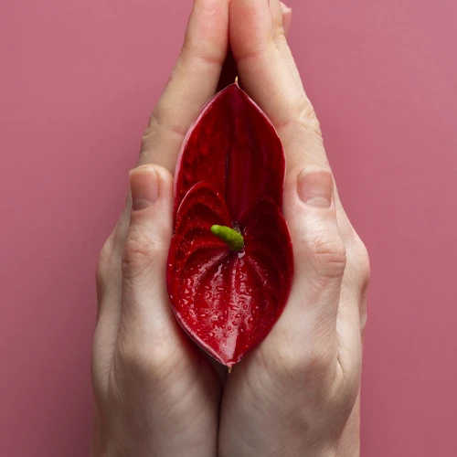 Reproductive Health & IVF ürünleri ve fiyatları - cc.datakale.com.tr